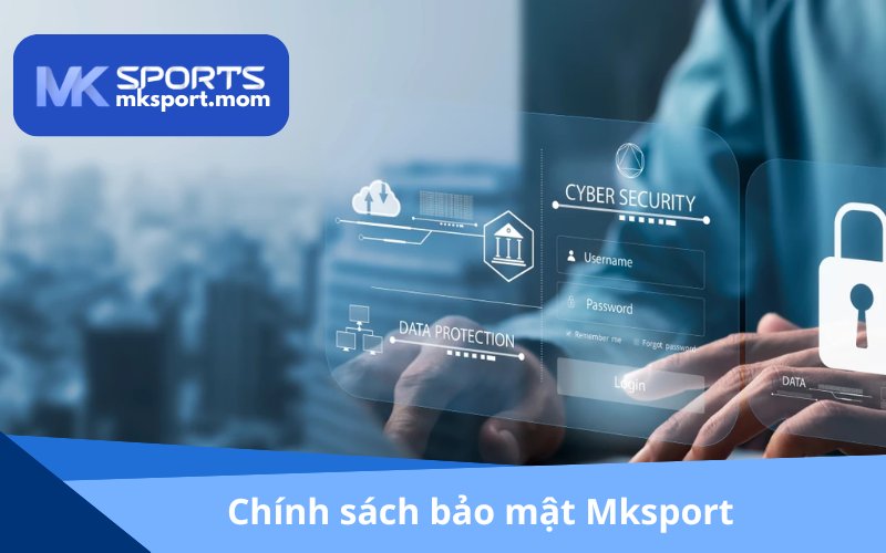 Tổng quan chính sách bảo mật
